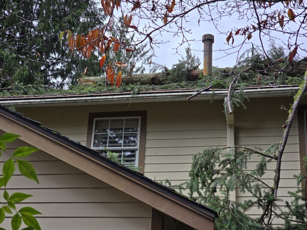 winter weather damage