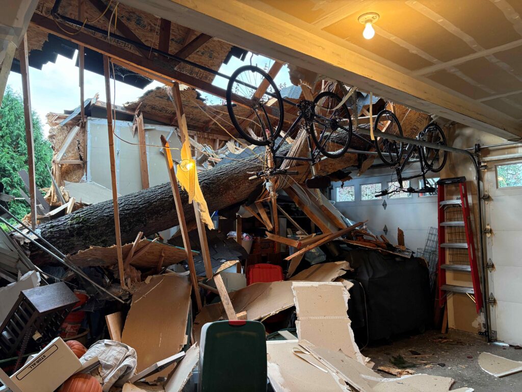 winter weather damage