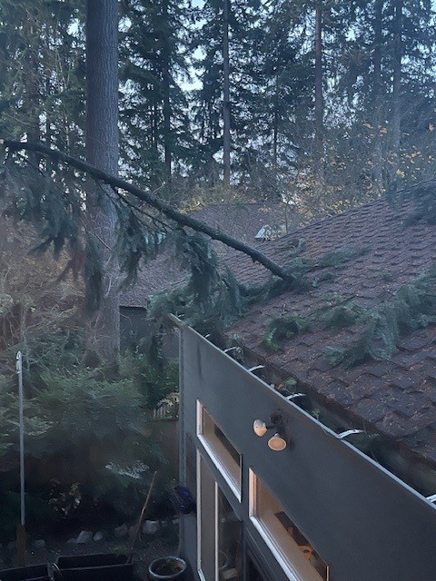 winter weather damage