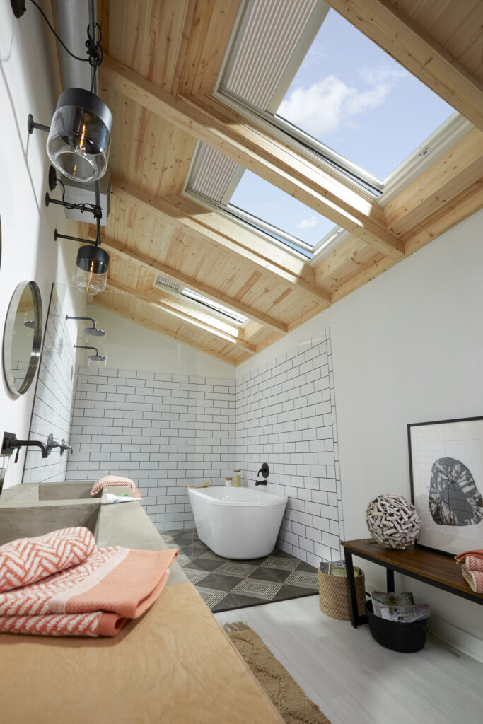 VELUX Skylights