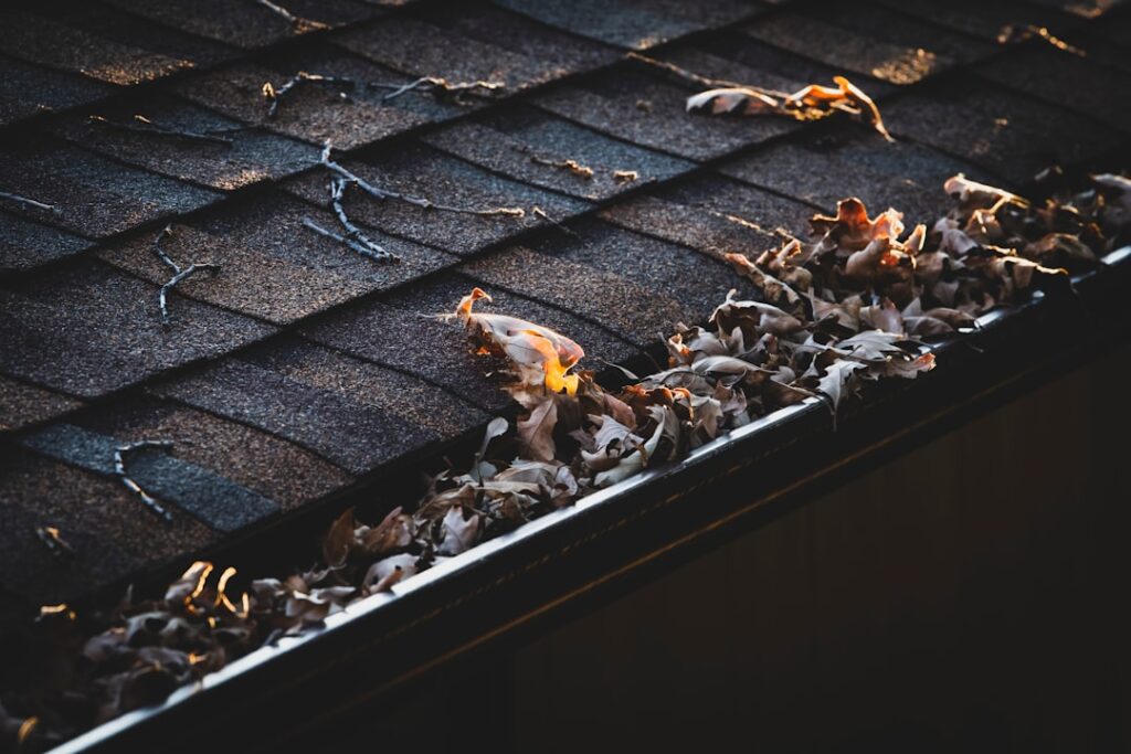 a group of leaves in a gutter dewinterizing your home